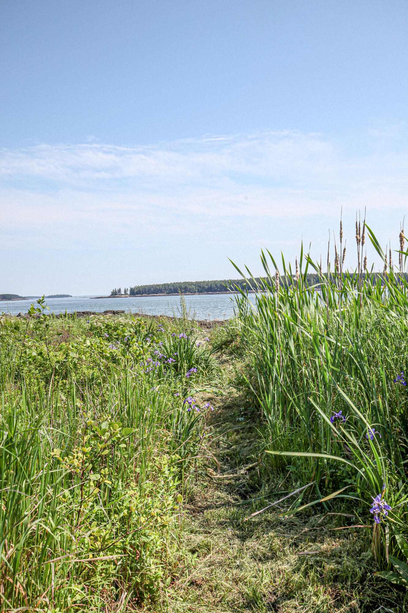 107 Kelley Point Road Jonesport, ME 04649 - Photo 75 of 95 IMG_0027