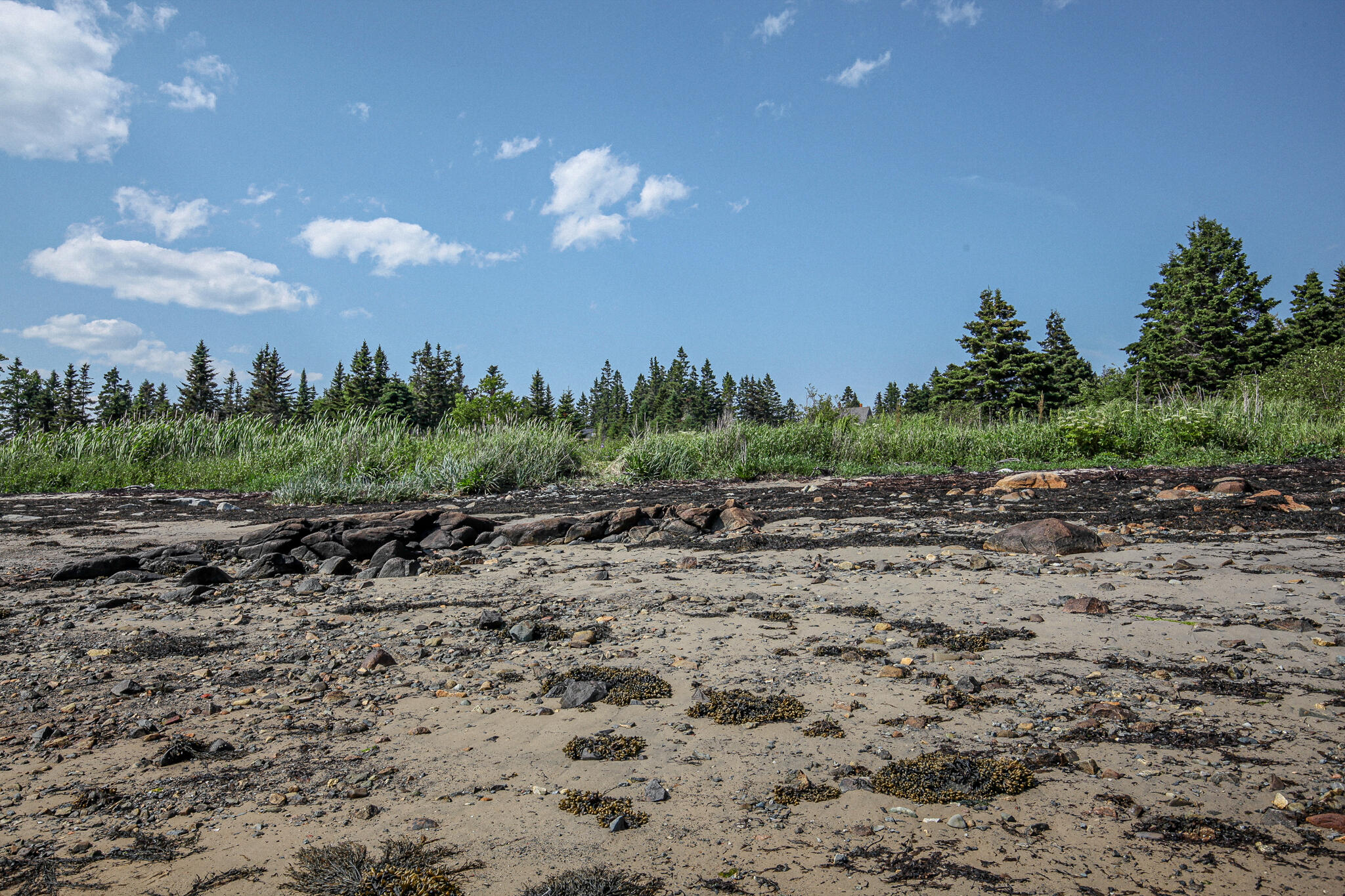 107 Kelley Point Road Jonesport, ME 04649 - Photo 78 of 95 IMG_0036