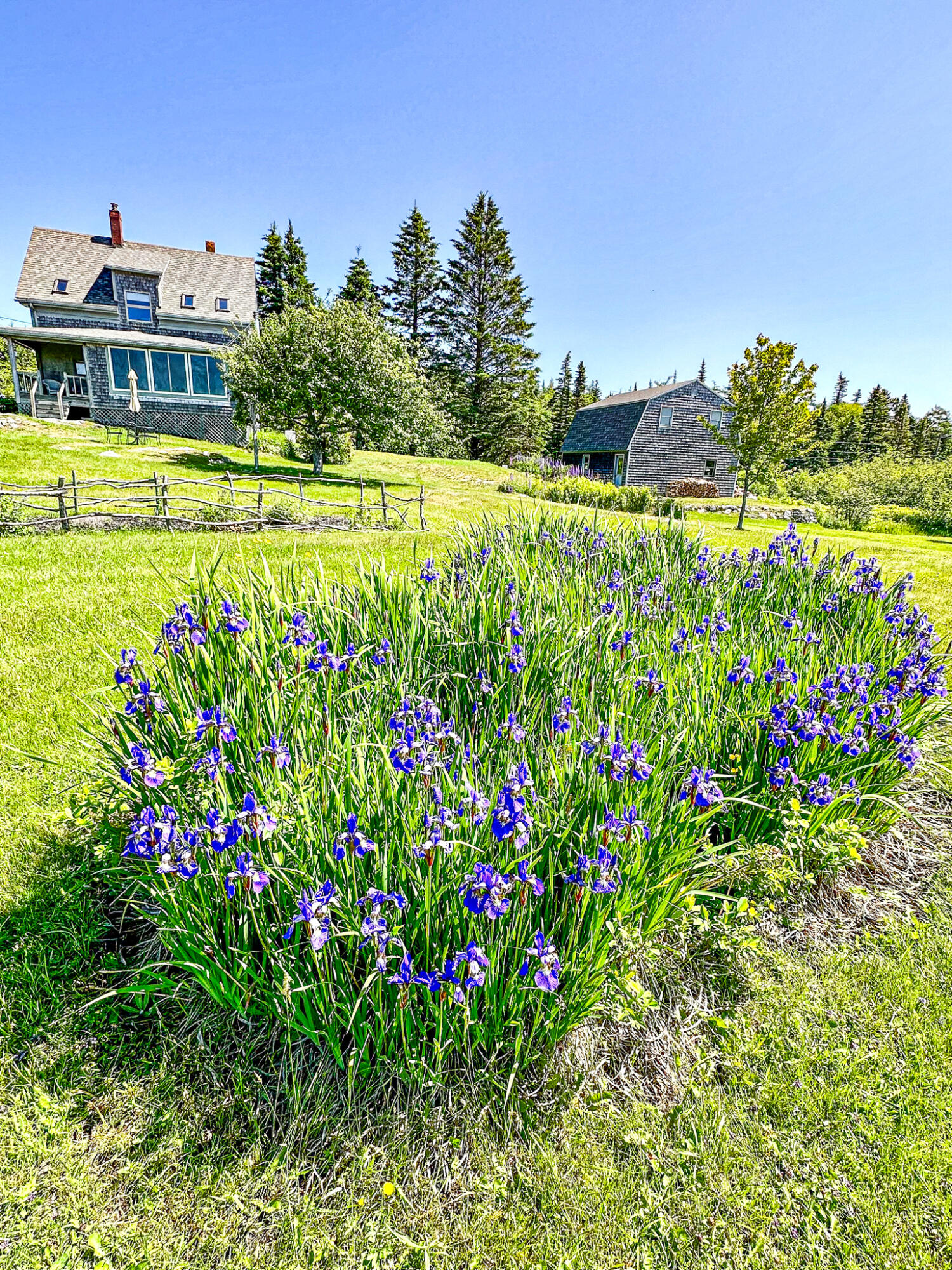 107 Kelley Point Road Jonesport, ME 04649 - Photo 80 of 95 IMG_3981-2