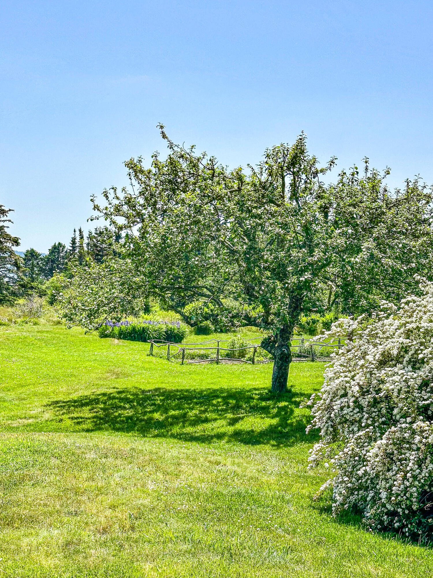 107 Kelley Point Road Jonesport, ME 04649 - Photo 81 of 95 IMG_7631-2