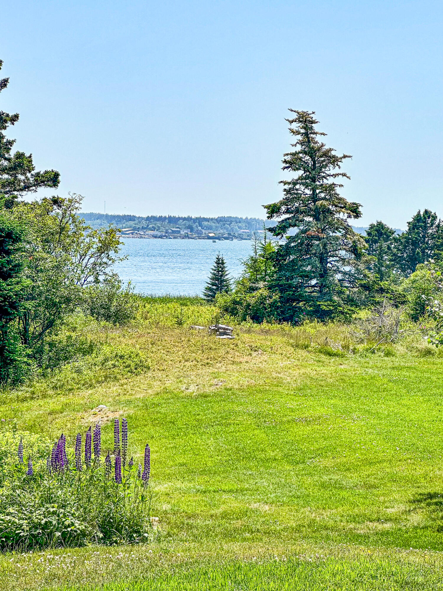 107 Kelley Point Road Jonesport, ME 04649 - Photo 10 of 95 IMG_7632-2