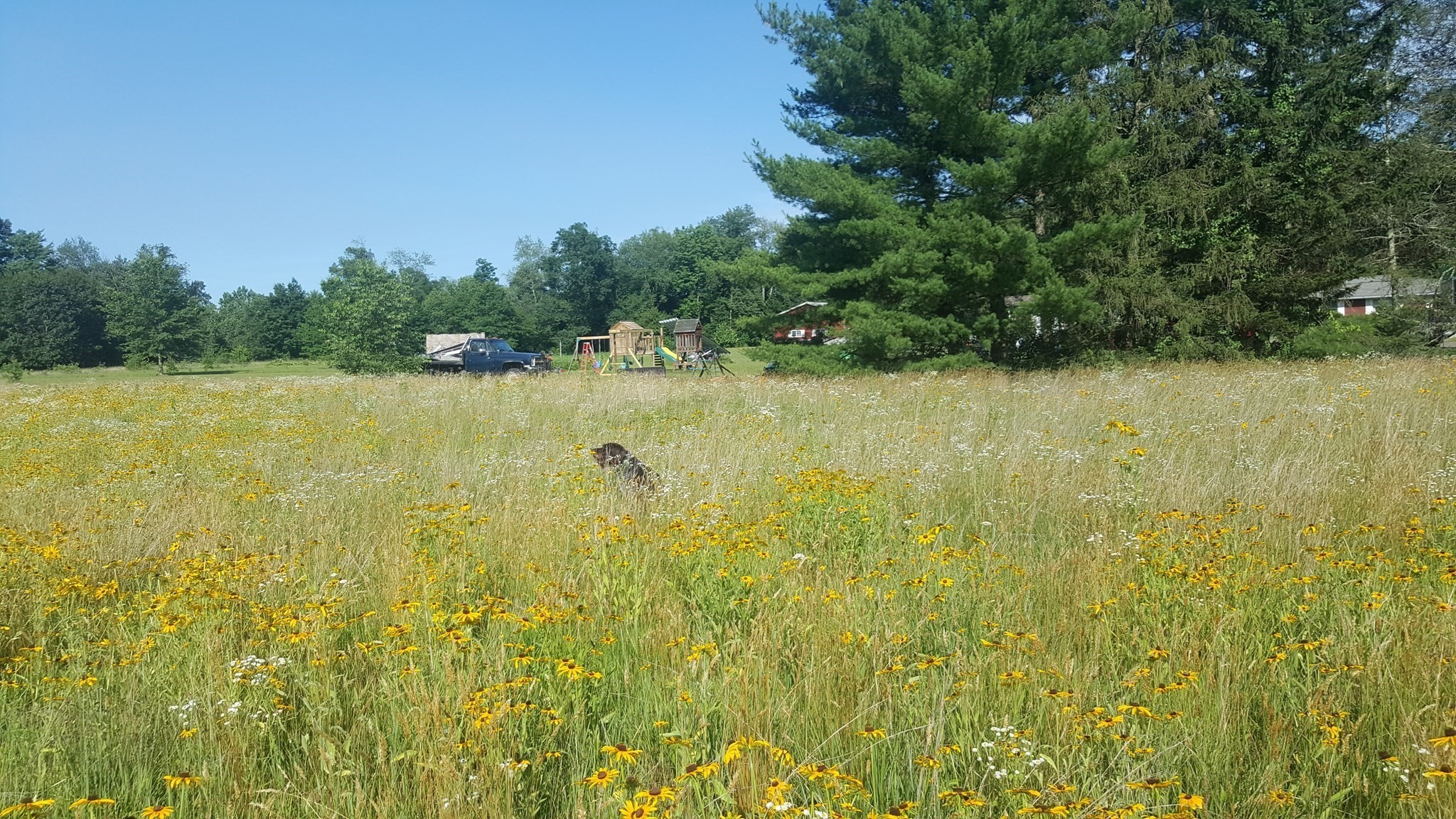 0 Depot Road Hatfield, MA 01038 - Photo 2 of 17 Gallery Image 2