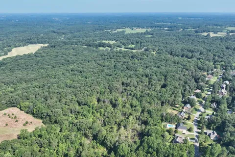 a view of a dry yard with green space