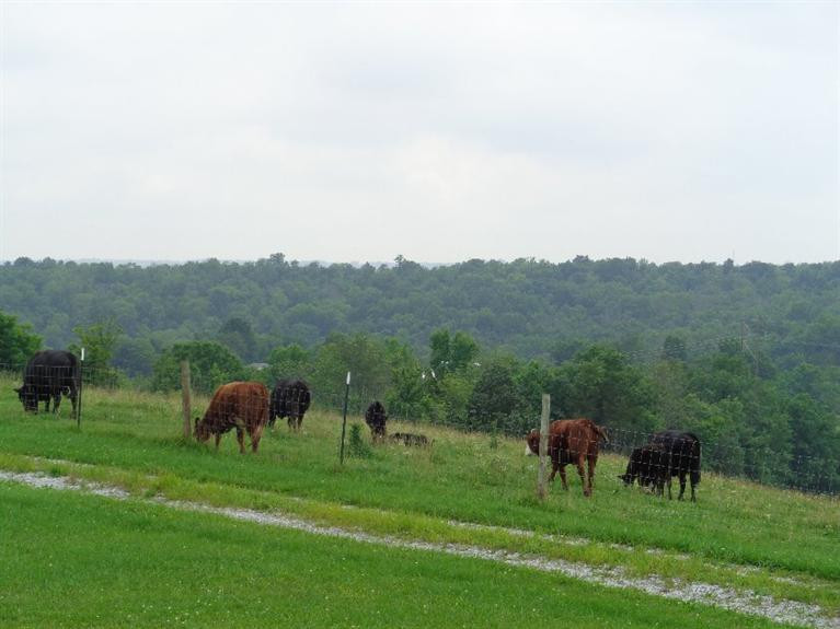 95 Tips Ridge Butler, KY 41006 - Photo 8 of 30 Gallery Image 8