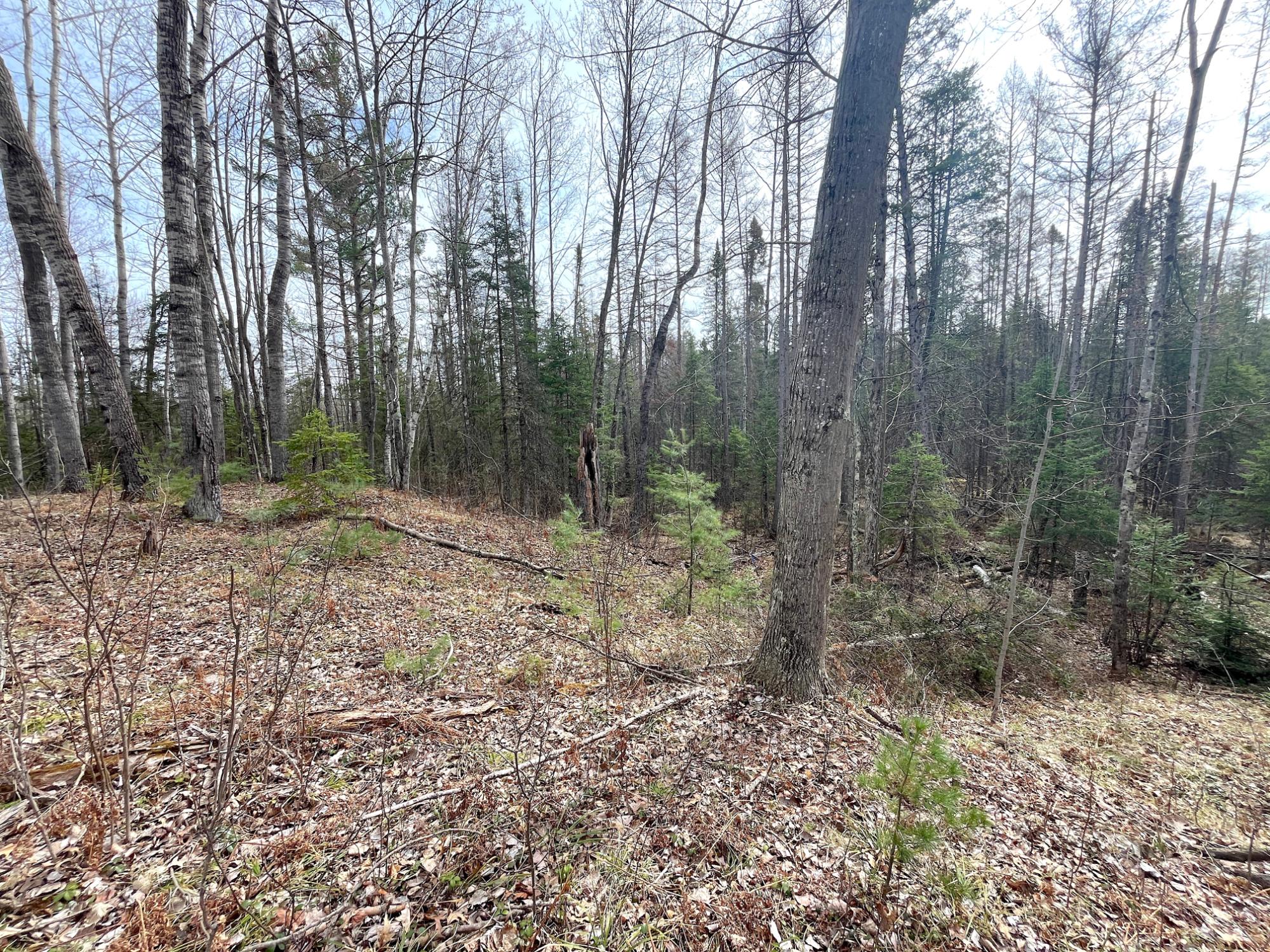 W8080 East Cataline Road Pembine, WI 54156 - Photo 26 of 47 Gallery Image 26