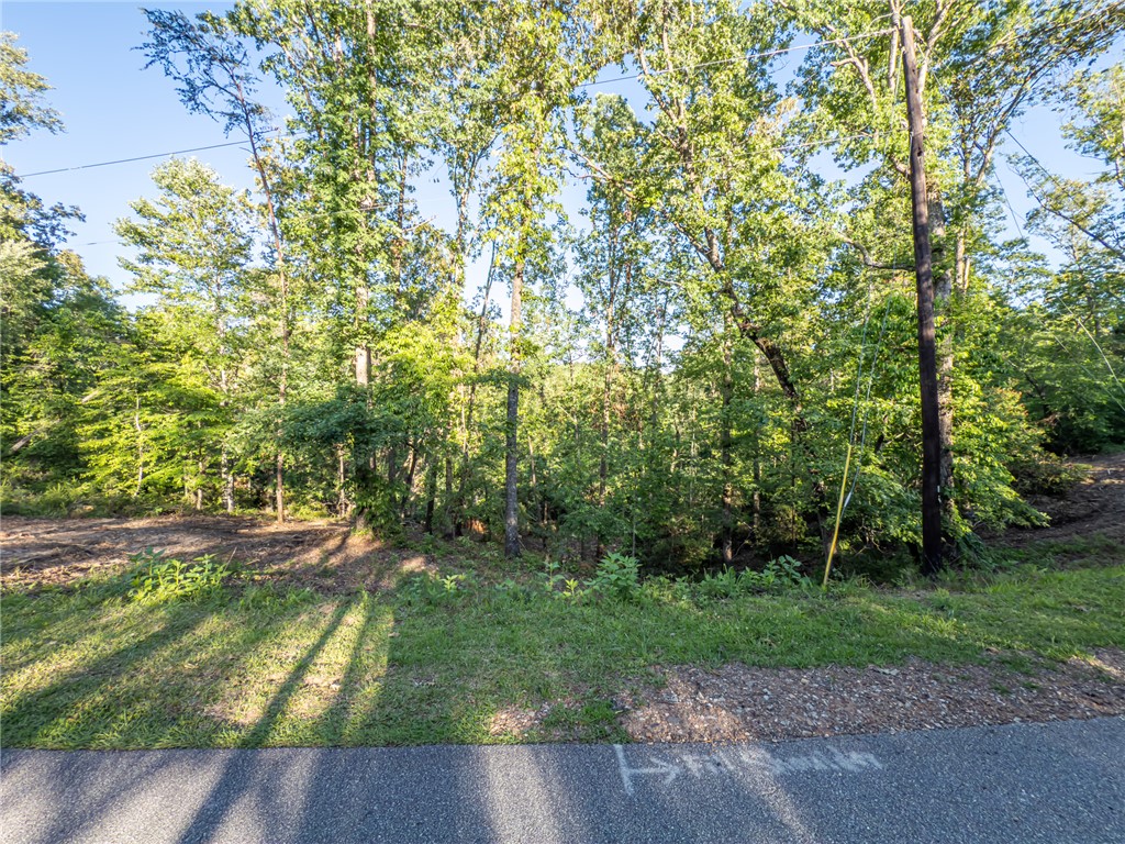 Lot 21 Old Shallowford Bridge Road Sunset, SC 29685 - Photo 1 of 14