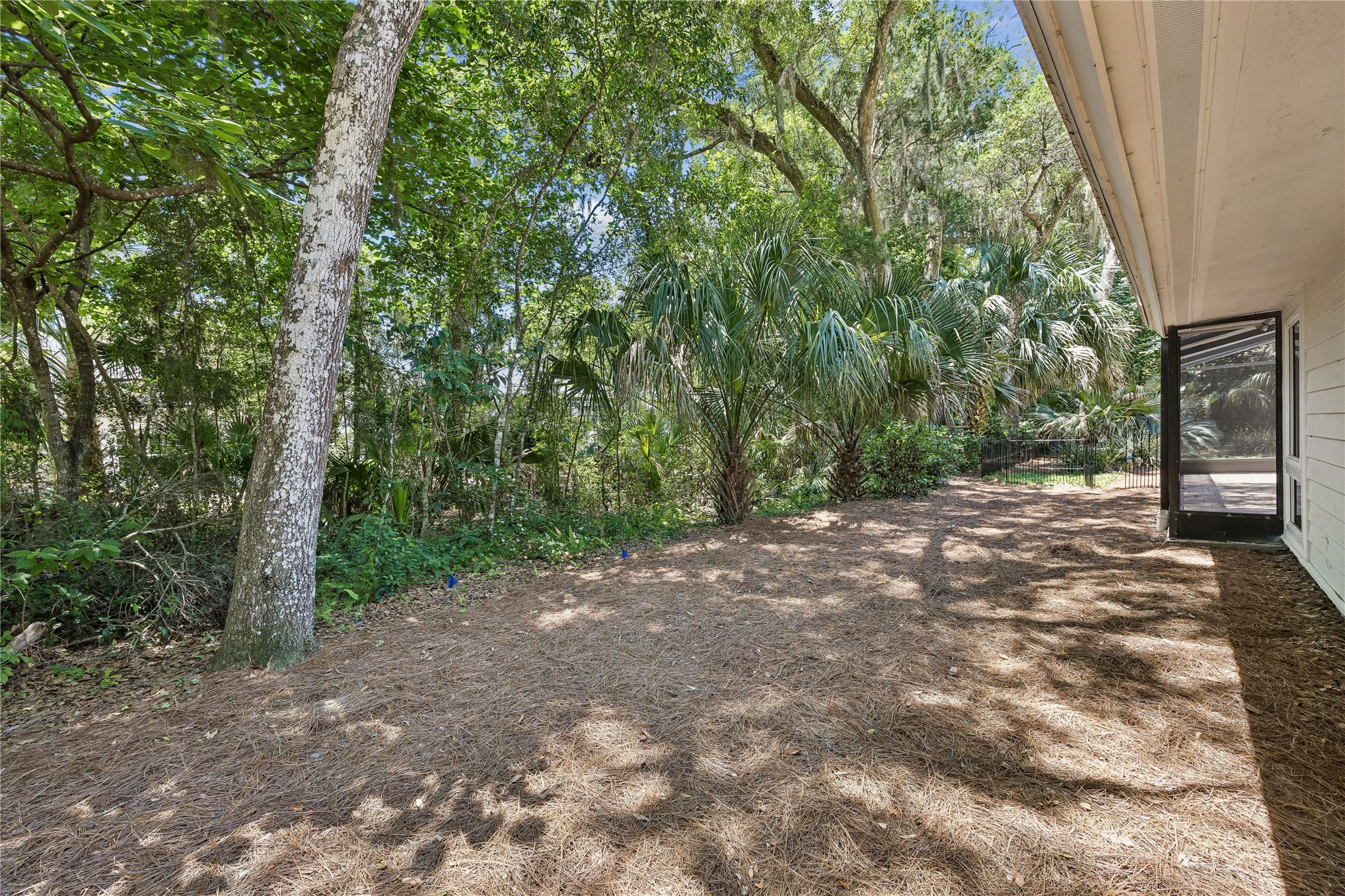 123 Bitternut Road Fernandina Beach, FL 32034 - Photo 59 of 87 Green space everywhere one looks offering such privacy.