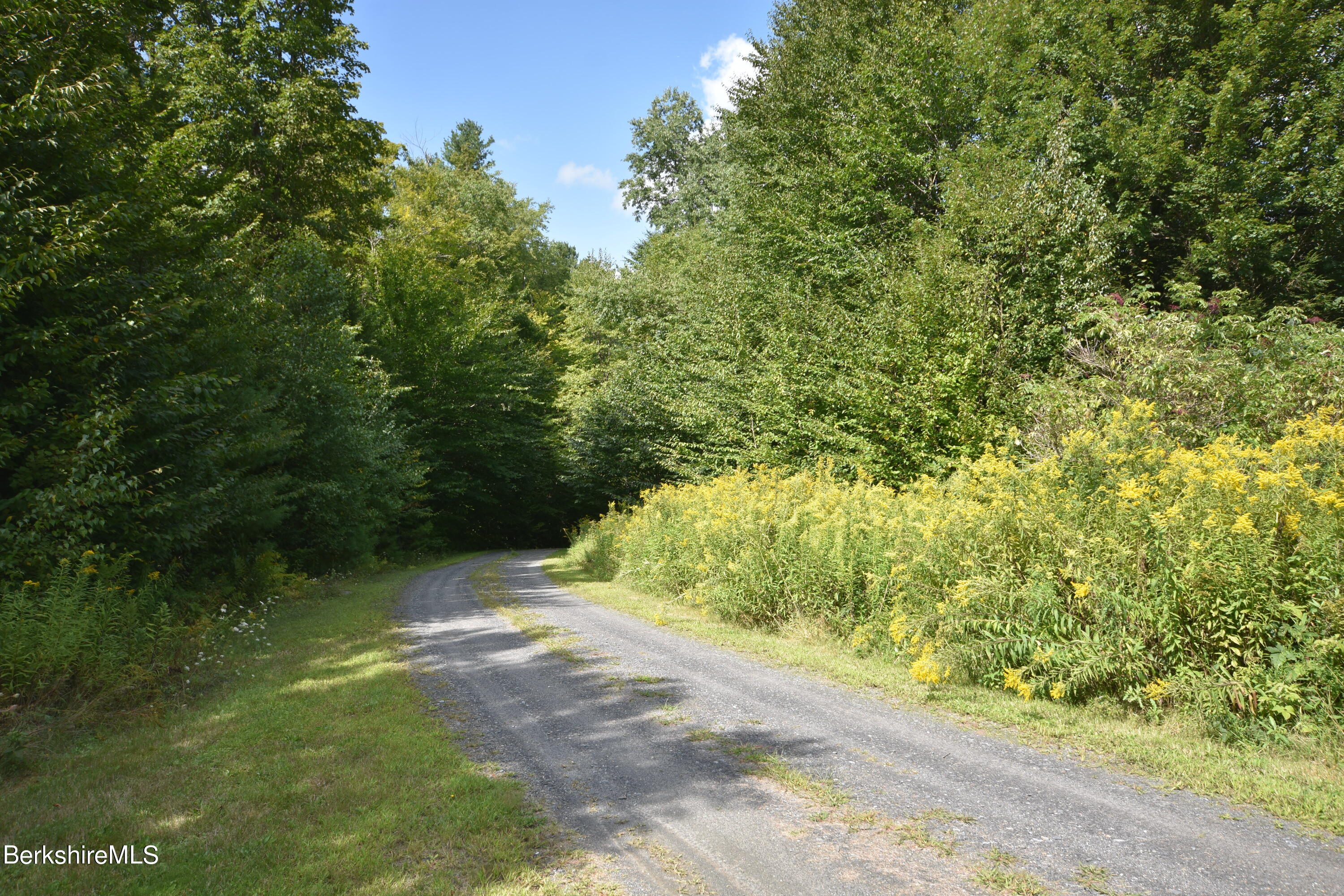 1540 East Windsor Road Windsor, MA 01270 - Photo 51 of 52 a view of a yard with plants and large trees