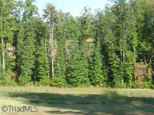0 Oak Ridge Road Summerfield, NC 27358 - Photo 3 of 9 Other.