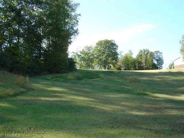 0 Oak Ridge Road Summerfield, NC 27358 - Photo 4 of 9 Other.