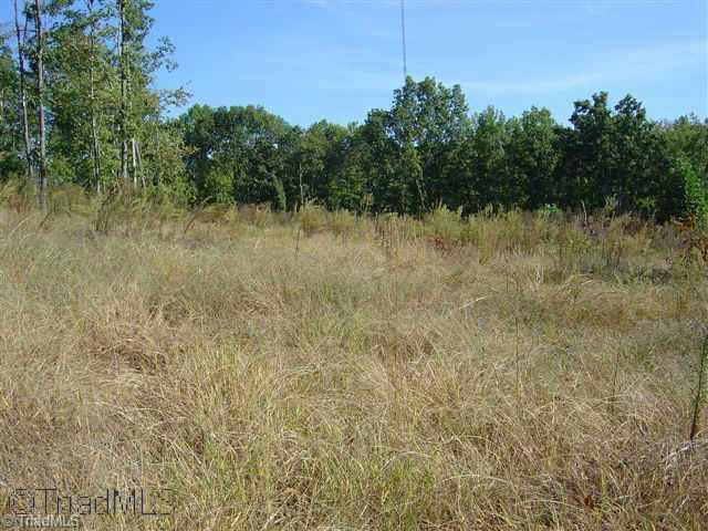 0 Oak Ridge Road Summerfield, NC 27358 - Photo 5 of 9 Other.