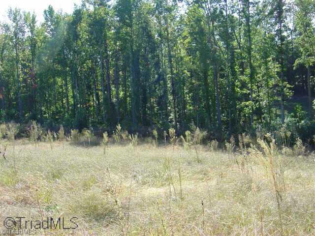0 Oak Ridge Road Summerfield, NC 27358 - Photo 6 of 9 Other.
