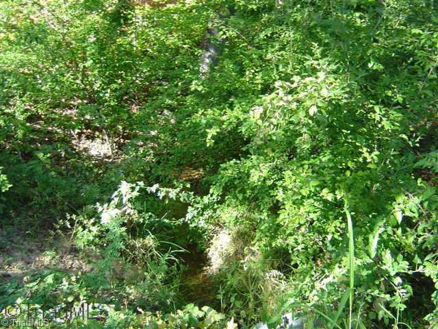 0 Oak Ridge Road Summerfield, NC 27358 - Photo 7 of 9 Other.
