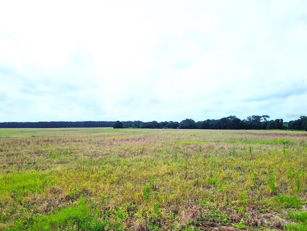 0 Pine Island Road Groveland, FL 34736 - Photo 1 of 1 Gallery Image 1