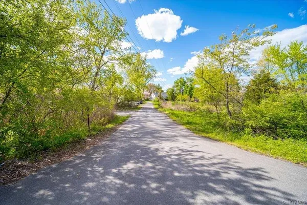 a view of park with large trees