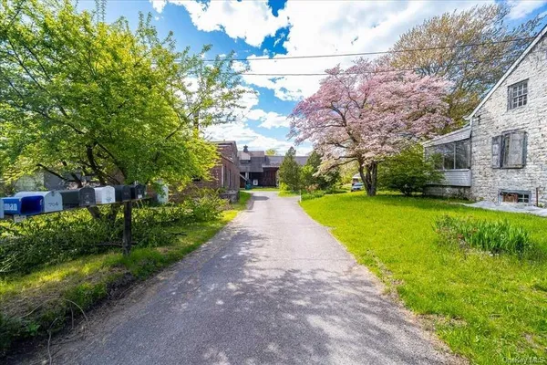 a view of a park with large trees