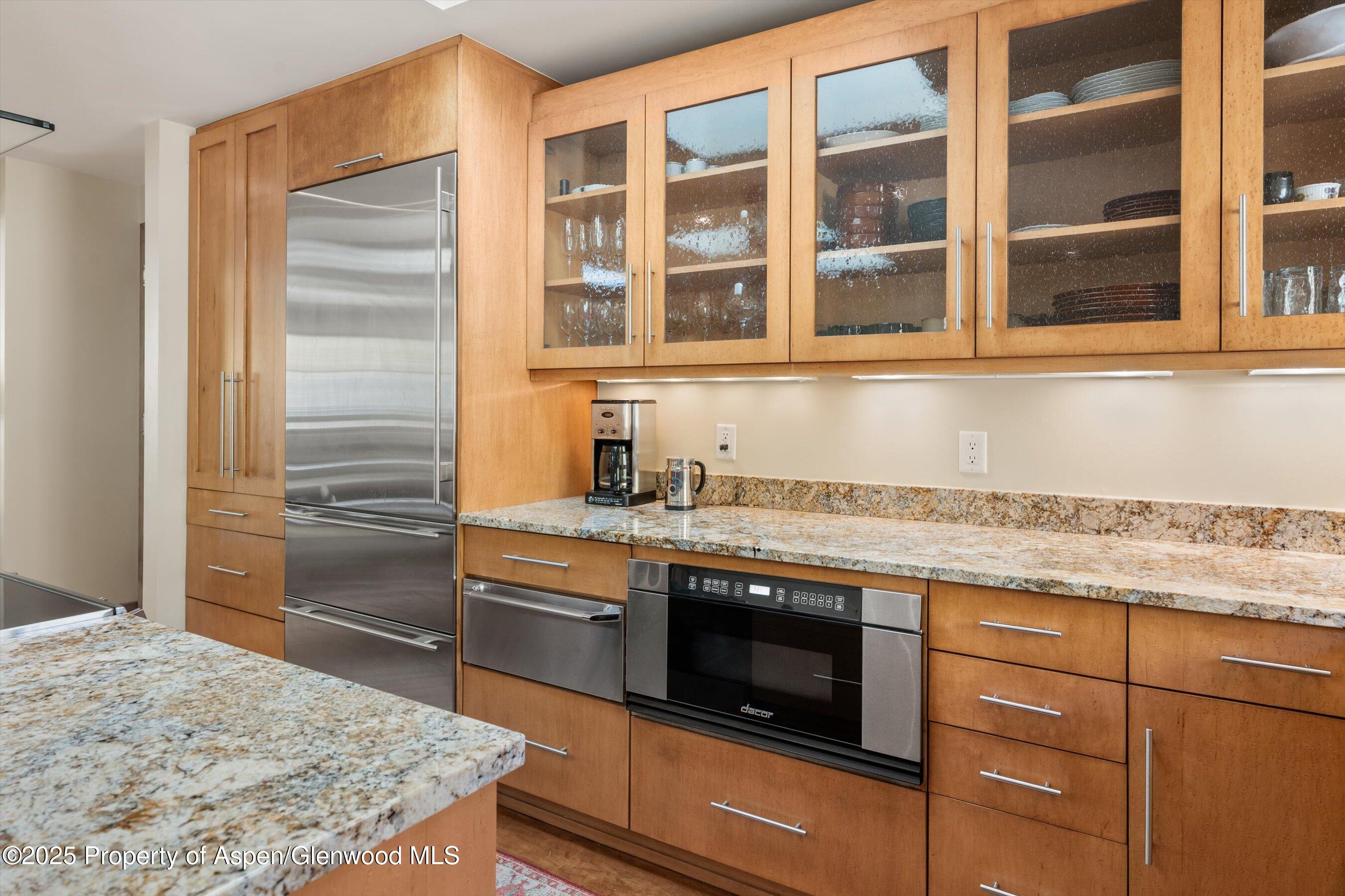 1020 East Hopkins Avenue, Unit 9 Aspen, CO 81611 - Photo 11 of 24 13-1020eHyman9_251008013