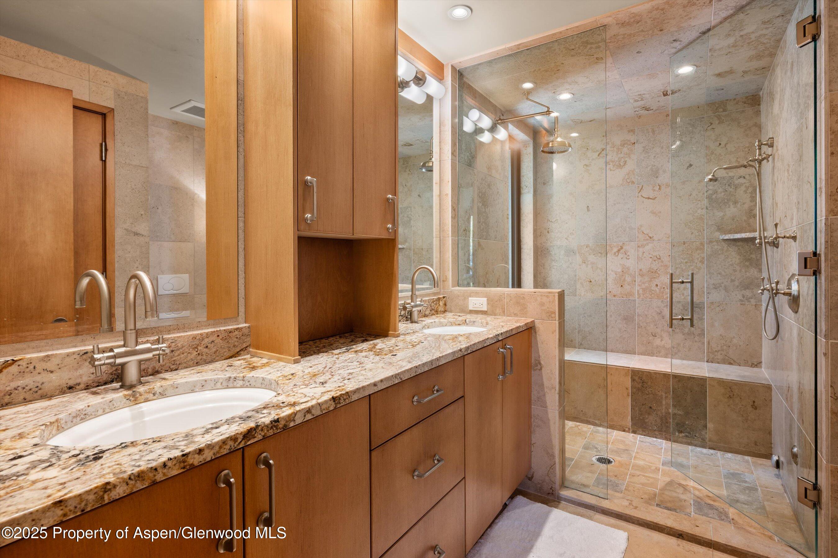 1020 East Hopkins Avenue, Unit 9 Aspen, CO 81611 - Photo 13 of 24 15-1020eHyman9_251008015