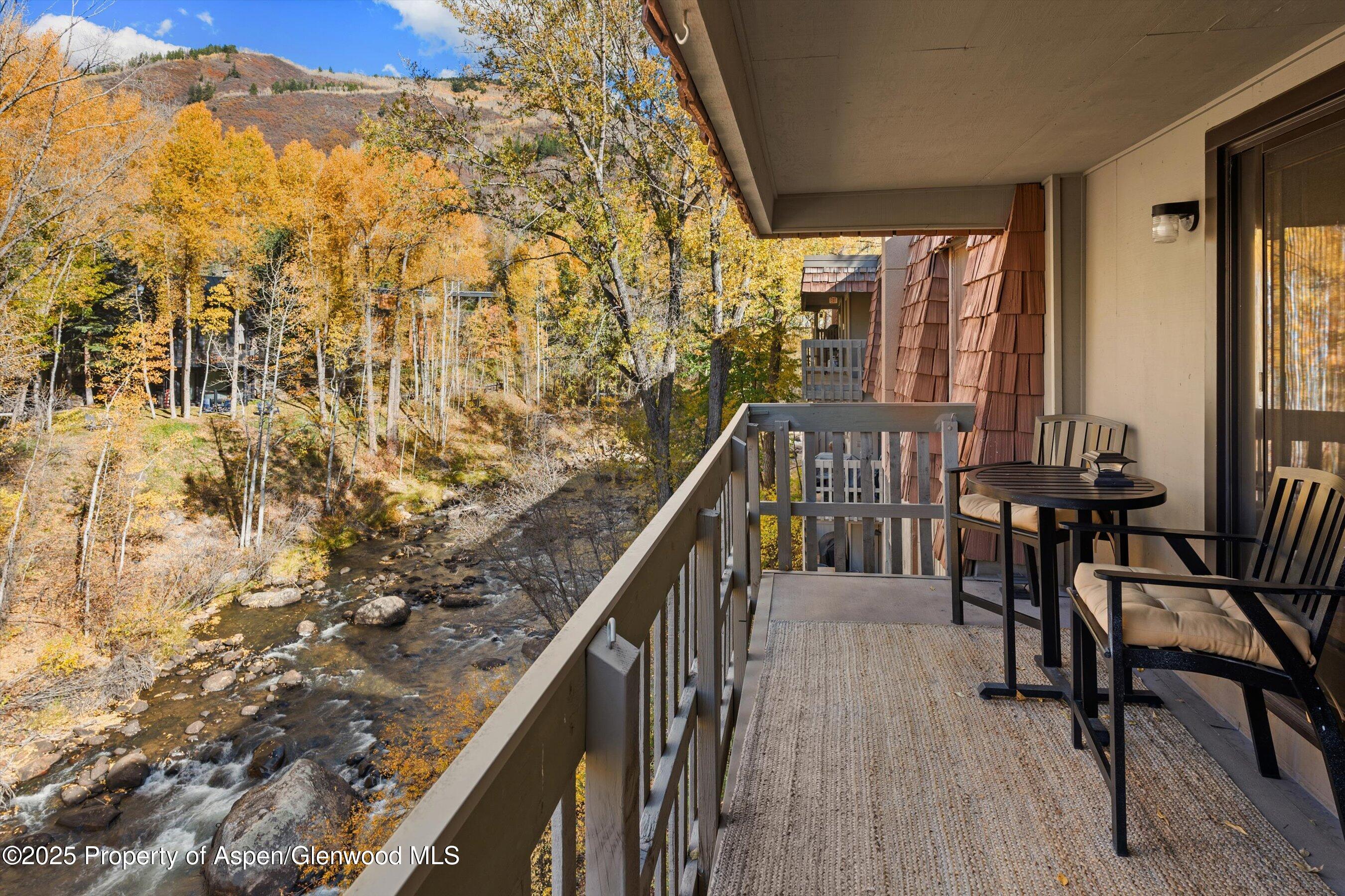 1020 East Hopkins Avenue, Unit 9 Aspen, CO 81611 - Photo 16 of 24 18-1020eHyman9_251008018