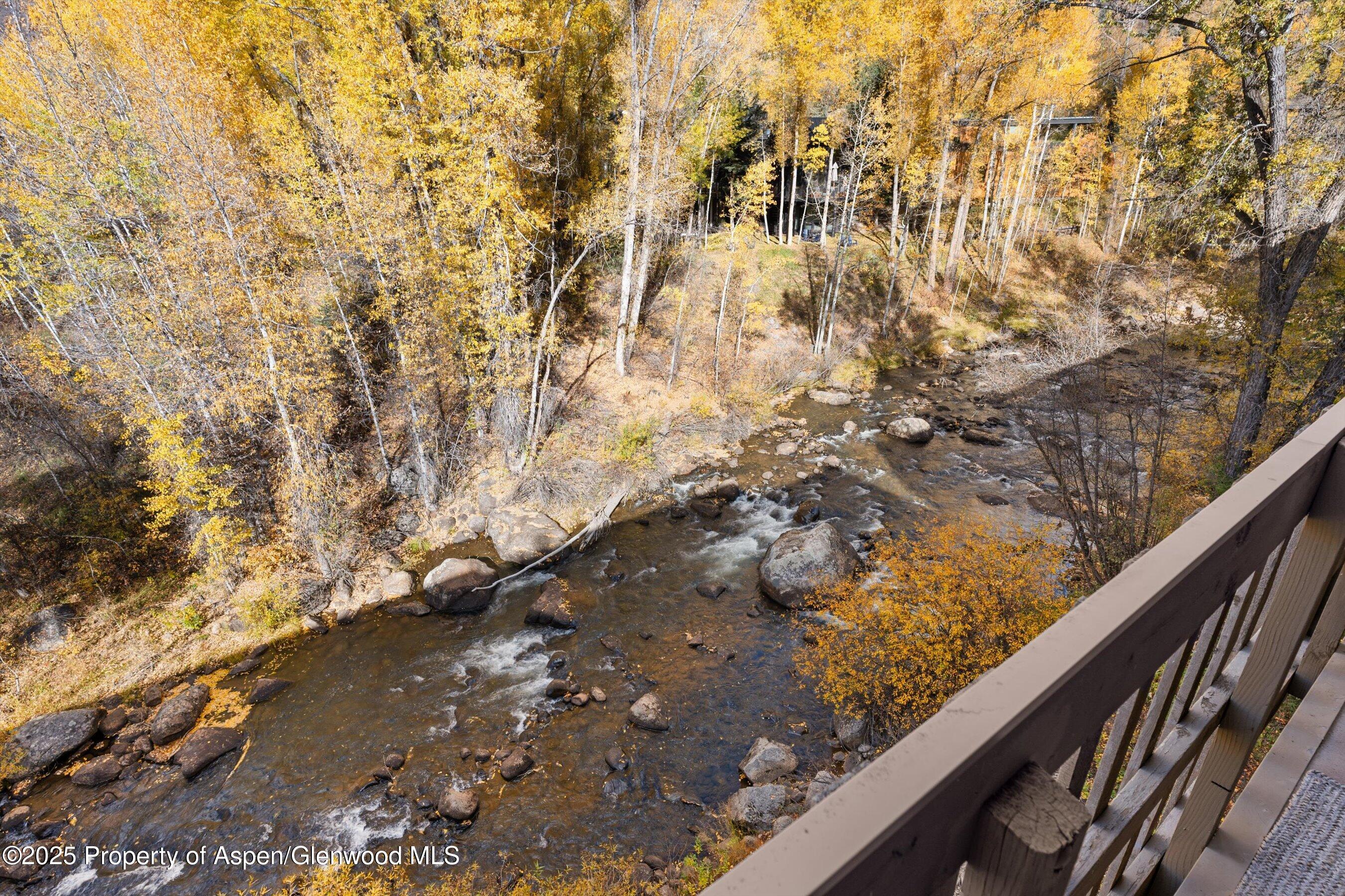 1020 East Hopkins Avenue, Unit 9 Aspen, CO 81611 - Photo 17 of 24 19-1020eHyman9_251008019