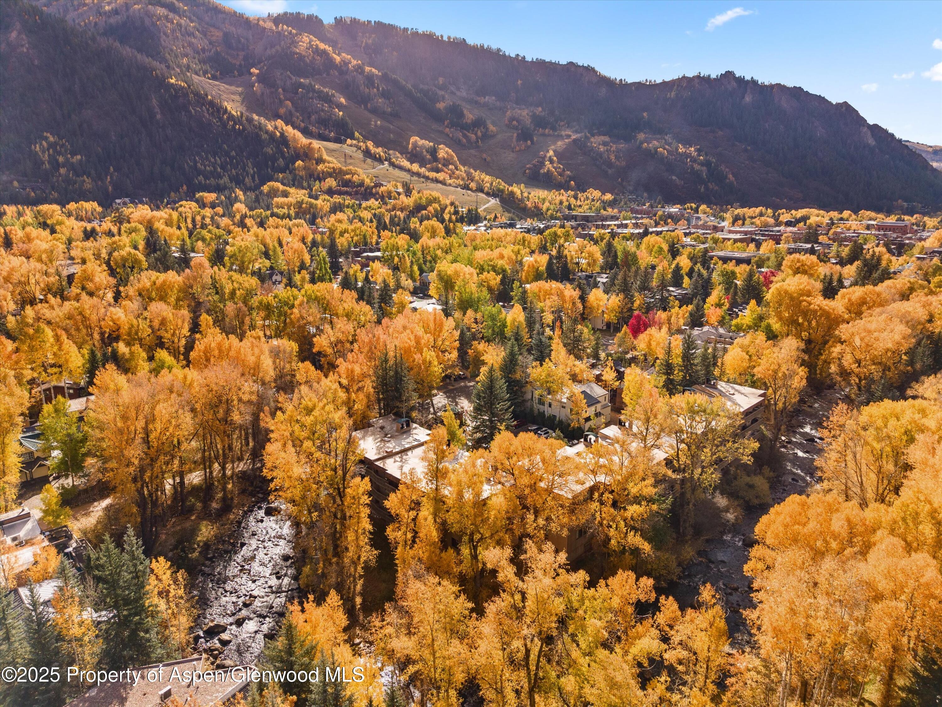 1020 East Hopkins Avenue, Unit 9 Aspen, CO 81611 - Photo 21 of 24 21-1020eHyman9_251008021