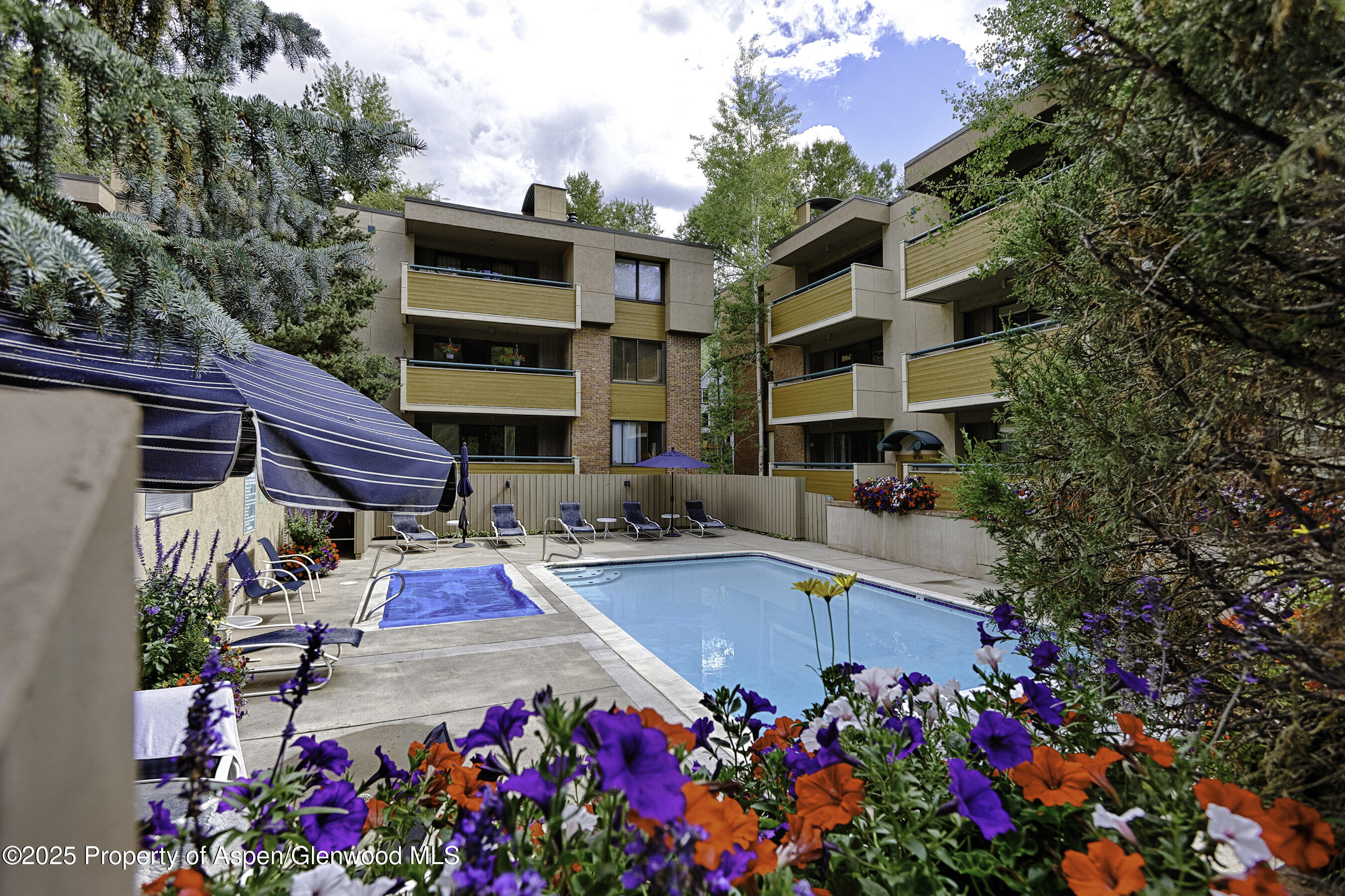 1020 East Hopkins Avenue, Unit 9 Aspen, CO 81611 - Photo 22 of 24 1024eHopkins24_Med20080614