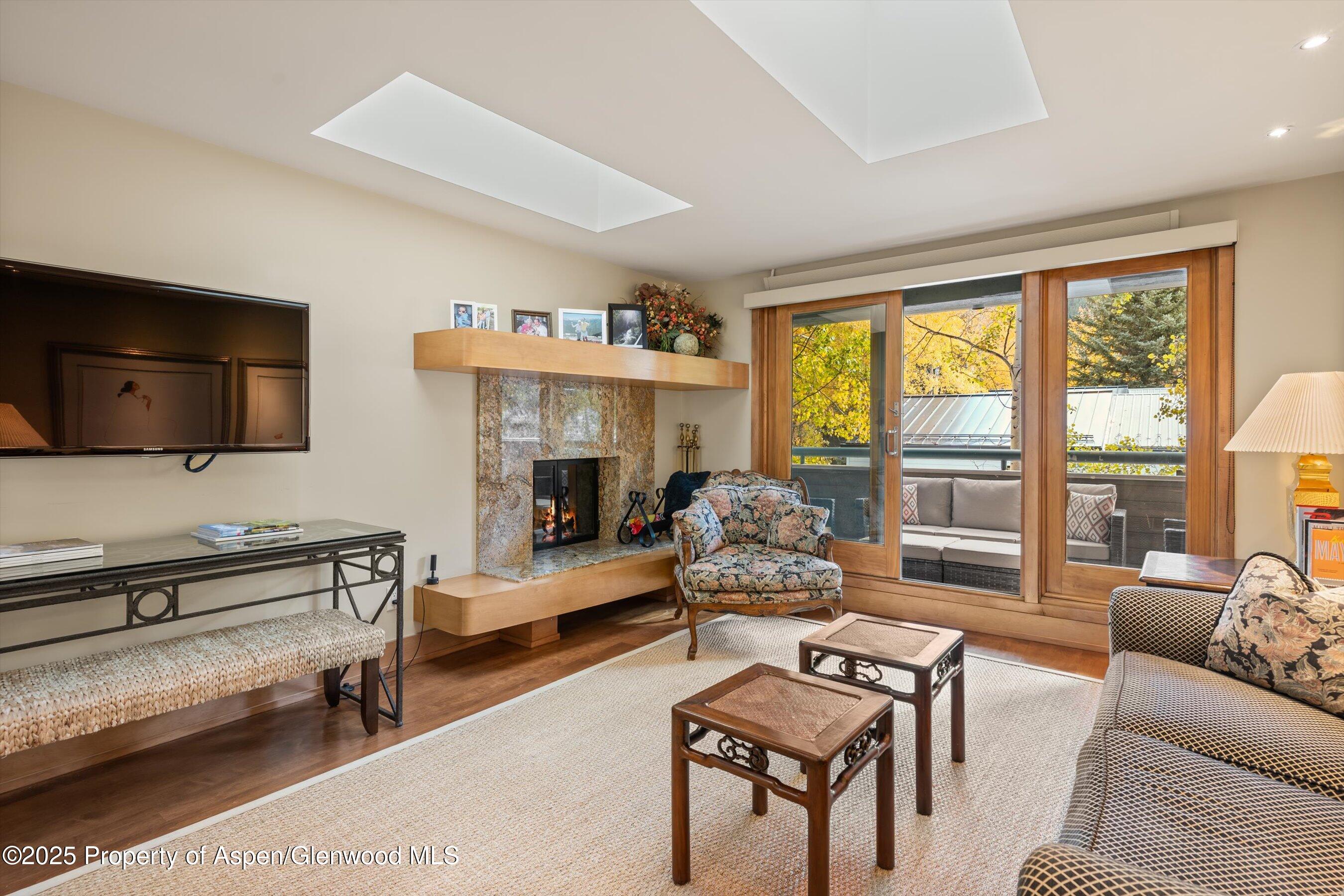 1020 East Hopkins Avenue, Unit 9 Aspen, CO 81611 - Photo 3 of 24 05-1020eHyman9_251008005