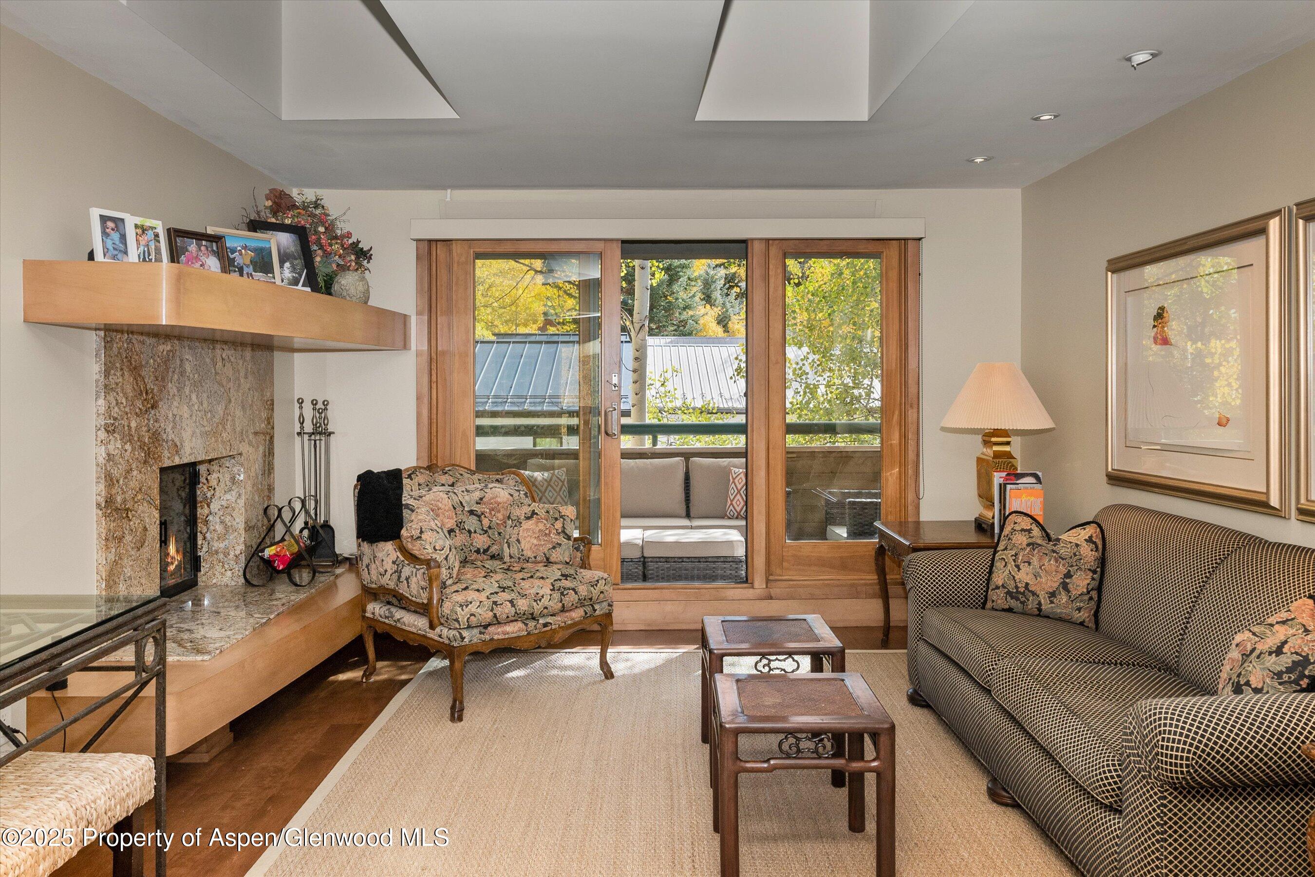 1020 East Hopkins Avenue, Unit 9 Aspen, CO 81611 - Photo 4 of 24 06-1020eHyman9_251008006