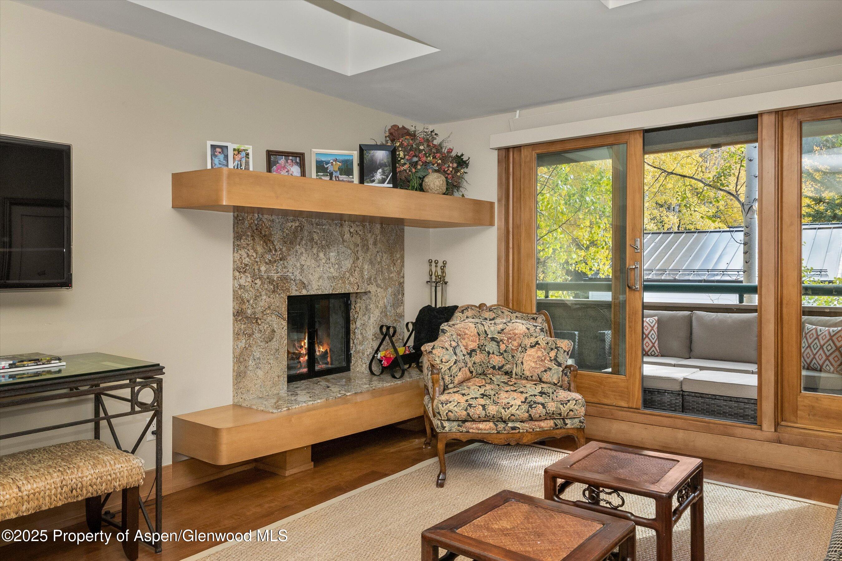 1020 East Hopkins Avenue, Unit 9 Aspen, CO 81611 - Photo 5 of 24 07-1020eHyman9_251008007