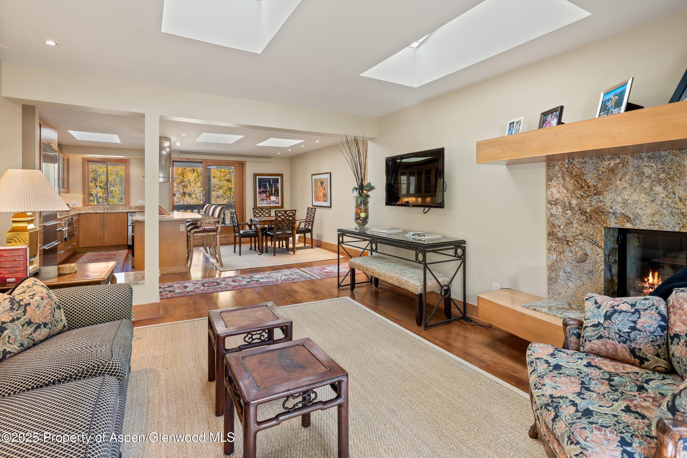 1020 East Hopkins Avenue, Unit 9 Aspen, CO 81611 - Photo 6 of 24 08-1020eHyman9_251008008