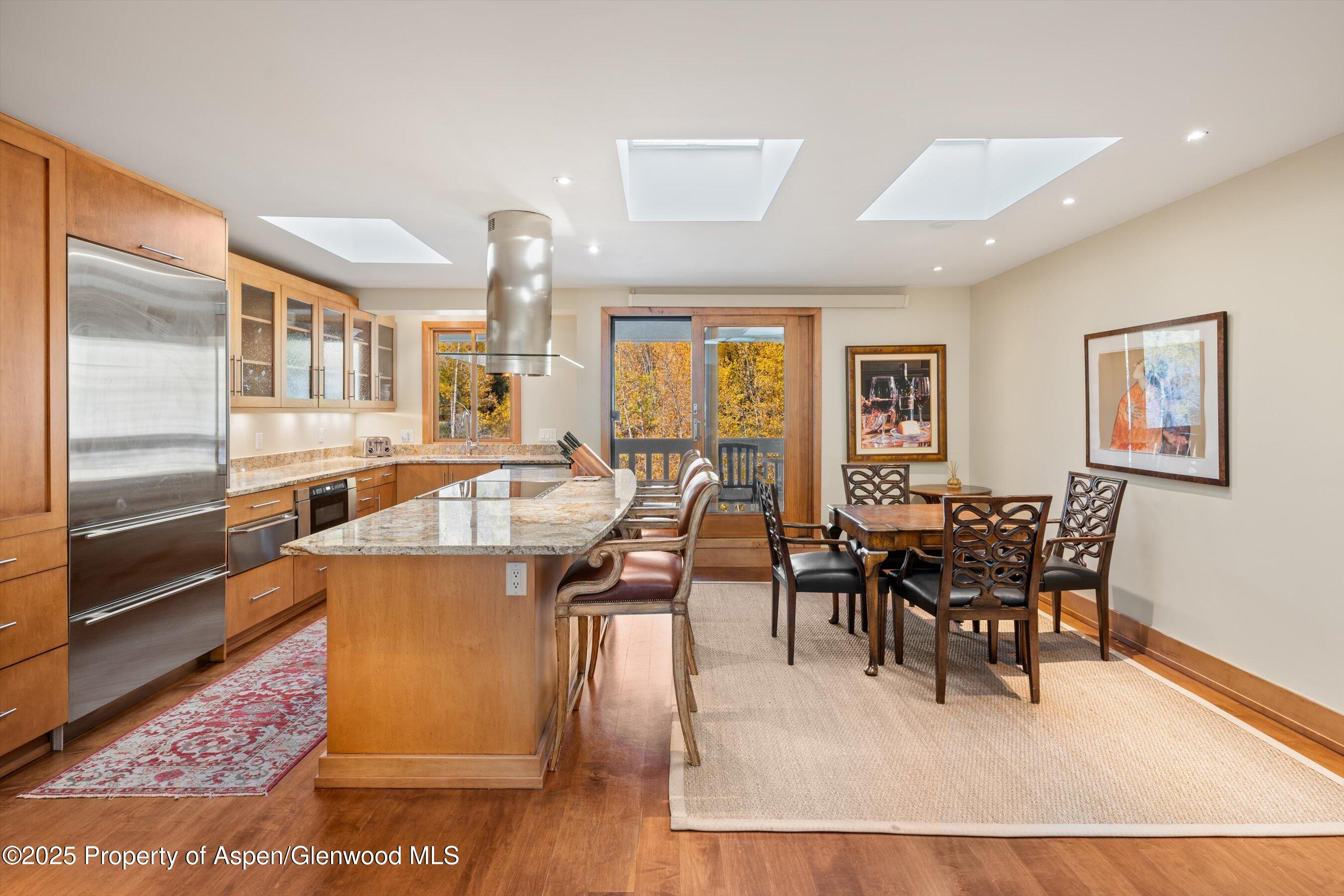 1020 East Hopkins Avenue, Unit 9 Aspen, CO 81611 - Photo 8 of 24 10-1020eHyman9_251008010