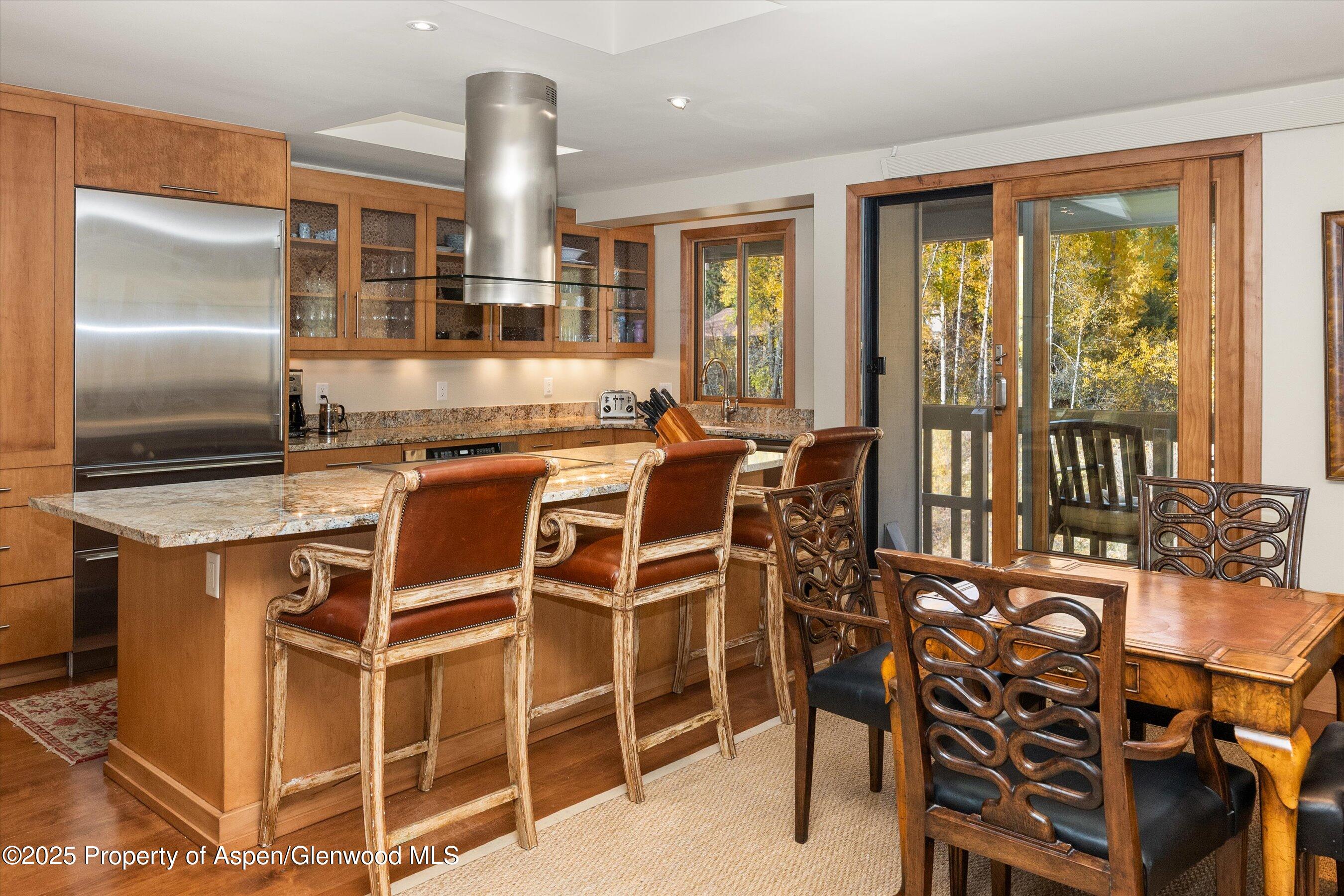 1020 East Hopkins Avenue, Unit 9 Aspen, CO 81611 - Photo 10 of 24 12-1020eHyman9_251008012