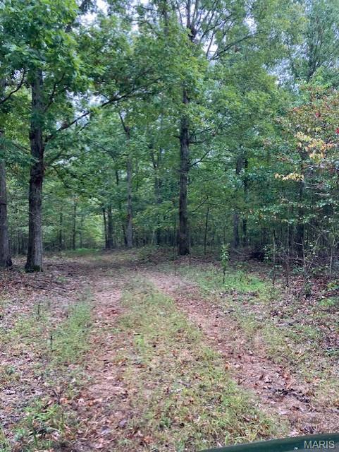 154 Madison Cr Fredericktown, MO 63645 - Photo 4 of 8