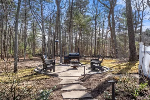 a view of a lounge chairs in the backyard