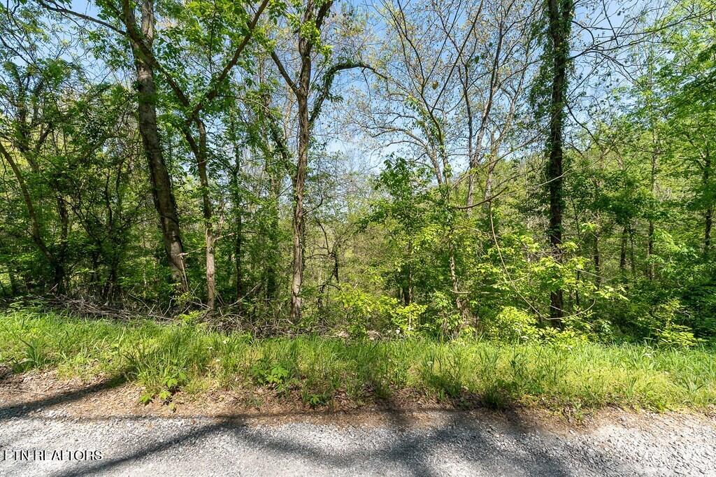 94 Austin Bottom Road Baxter, TN 38544 - Photo 17 of 19 243475_23