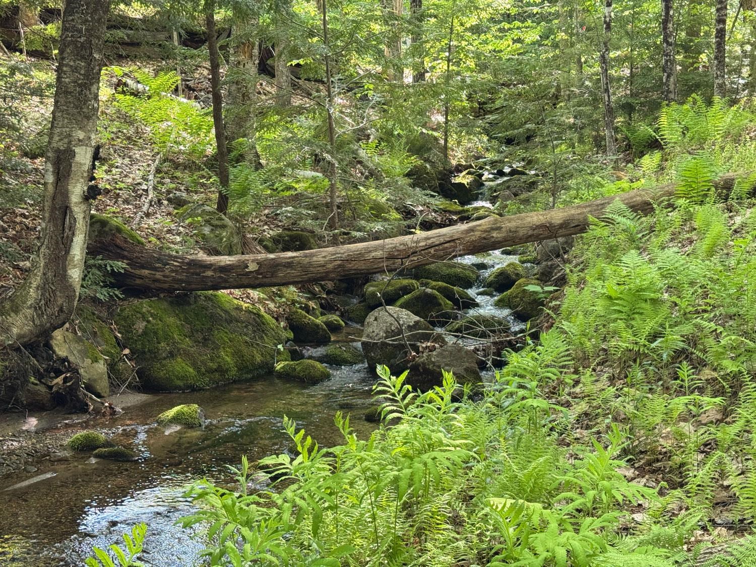 0 Peaked Hill Road Bristol, NH 03222 - Photo 21 of 33