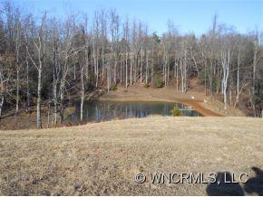 0 L M Morgan Road Saluda, NC 28773 - Photo 2 of 12
