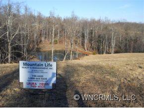 0 L M Morgan Road Saluda, NC 28773 - Photo 11 of 12