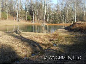 0 L M Morgan Road Saluda, NC 28773 - Photo 12 of 12