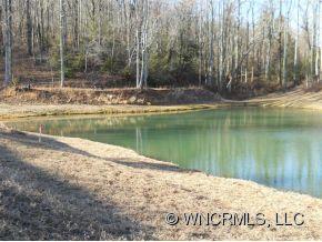 0 L M Morgan Road Saluda, NC 28773 - Photo 4 of 12
