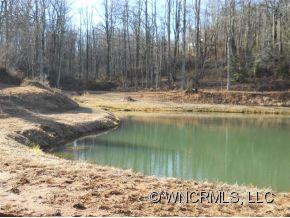 0 L M Morgan Road Saluda, NC 28773 - Photo 5 of 12