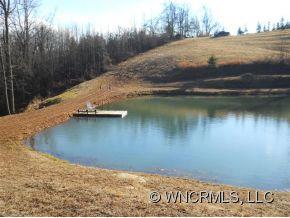 0 L M Morgan Road Saluda, NC 28773 - Photo 7 of 12