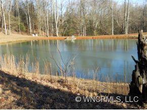 0 L M Morgan Road Saluda, NC 28773 - Photo 10 of 12