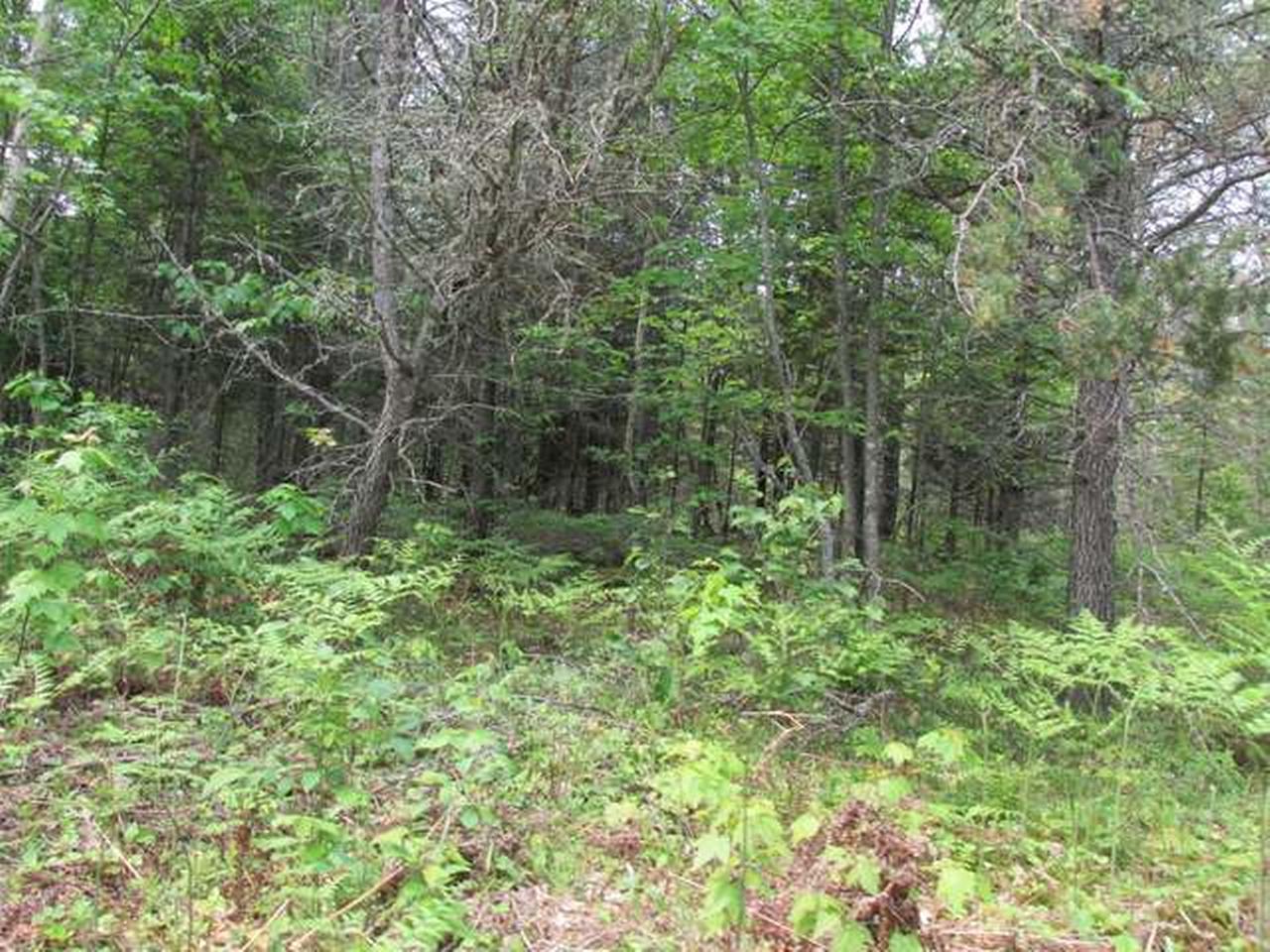 On Razorback Road Land O'Lakes, WI 54540 - Photo 3 of 10 Gallery Image 3