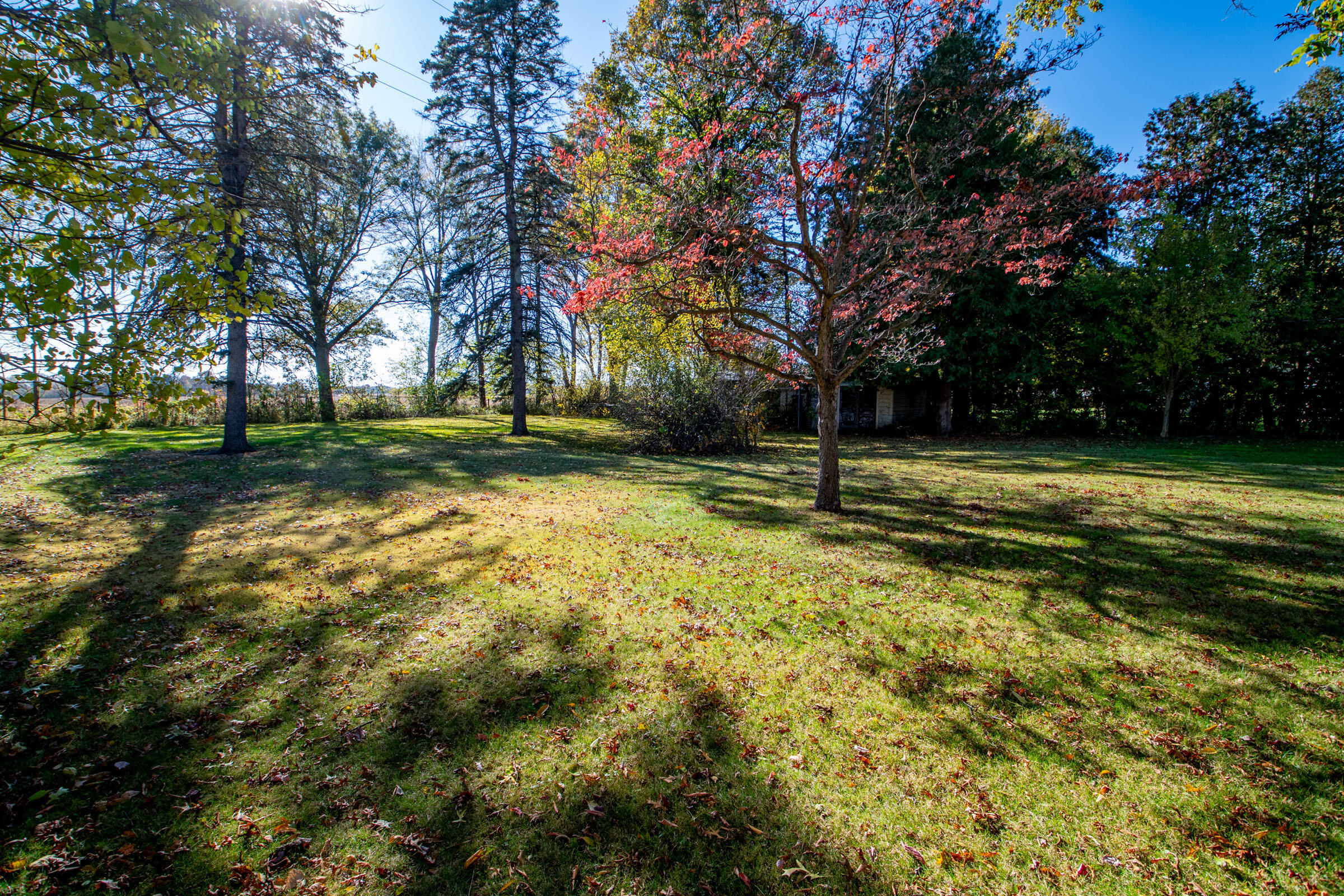 3350 West Bertrand Road Niles, MI 49120 - Photo 38 of 44 3350 W Bertrand Rd Niles Yard