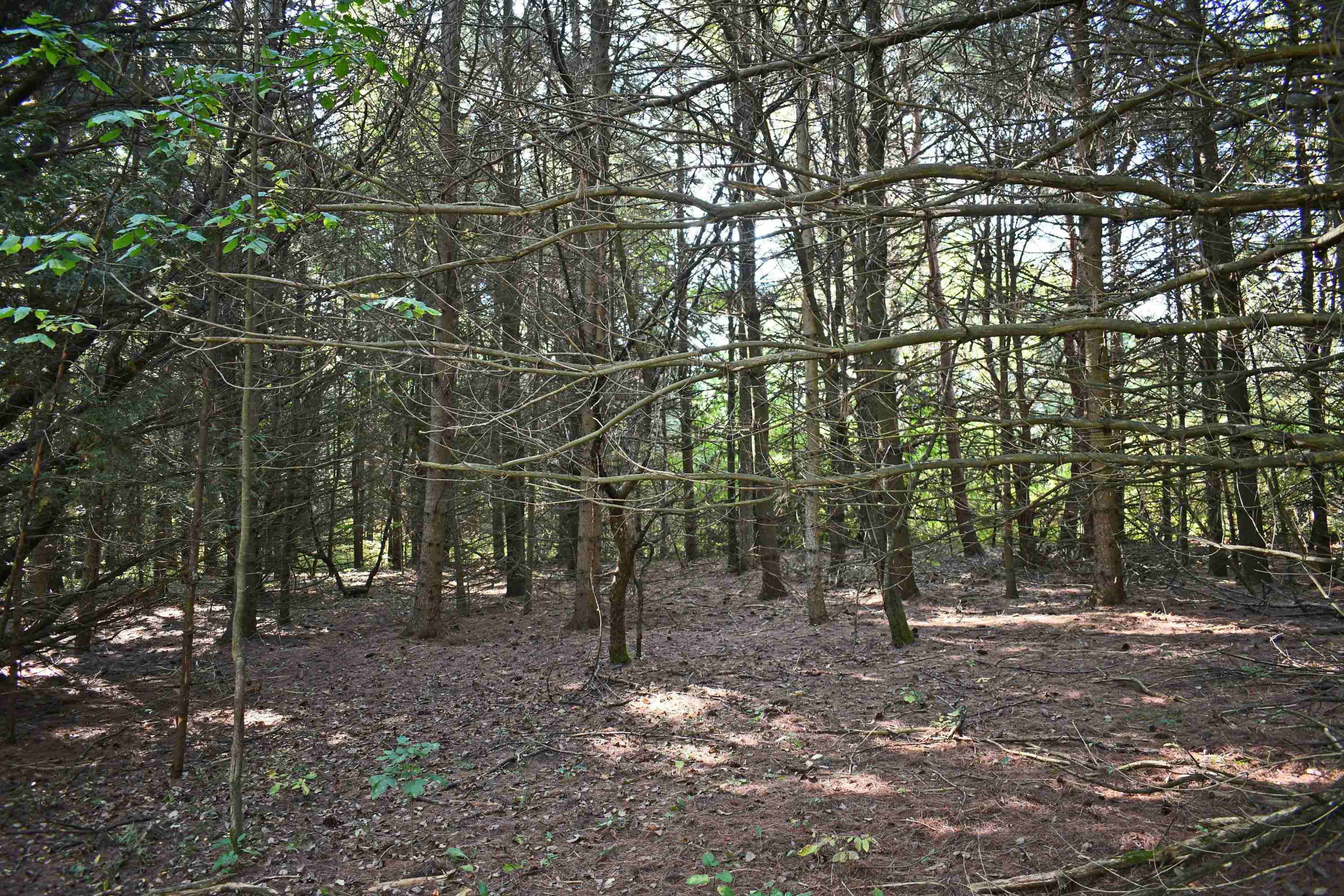 0 North Kobs Road Tawas City, MI 48763 - Photo 6 of 26