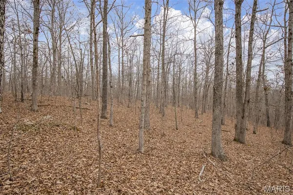$75,000 | 143 Cr 143 Annapolis Mo 63620, Annapolis, MO 63620