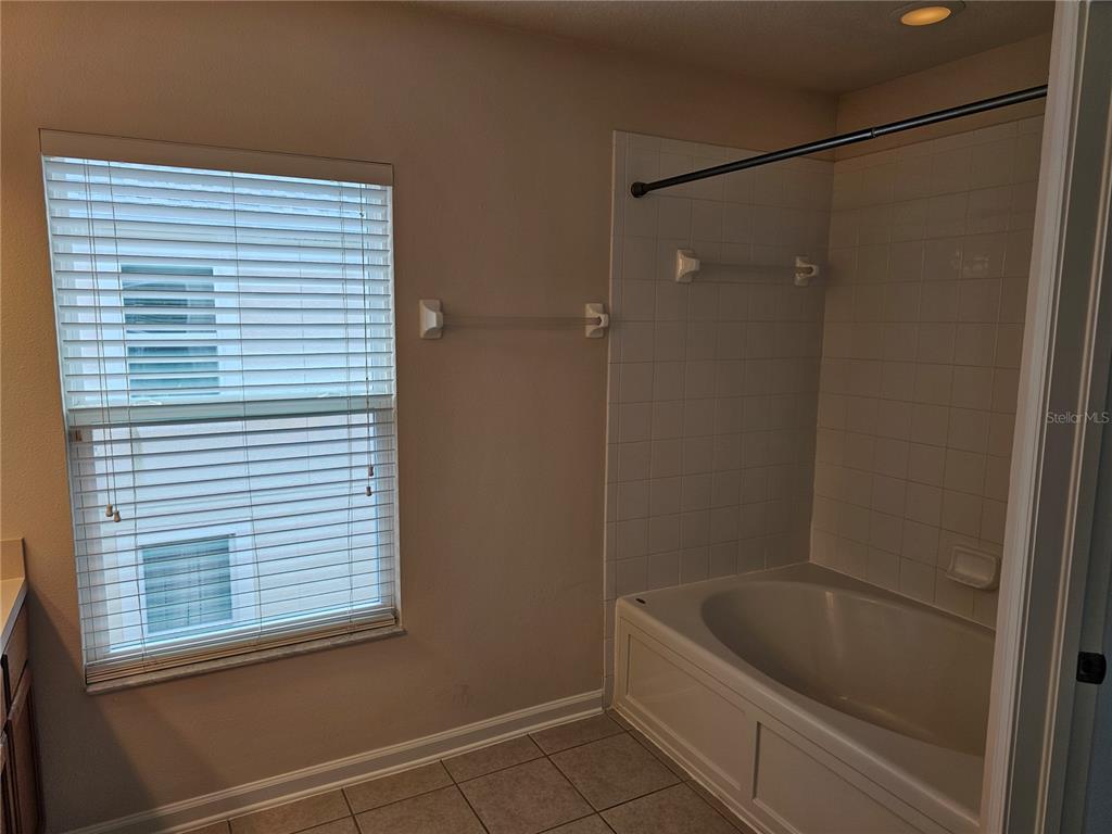 26638 Castleview Way Wesley Chapel, FL 33544 - Photo 14 of 24 a bathroom with a tub and a shower