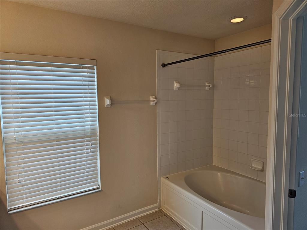 26638 Castleview Way Wesley Chapel, FL 33544 - Photo 15 of 24 a bathroom with a tub and a shower