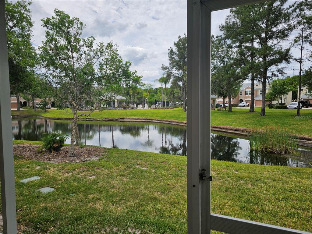 26638 Castleview Way Wesley Chapel, FL 33544 - Photo 21 of 24 a view of a lake with a house in the background